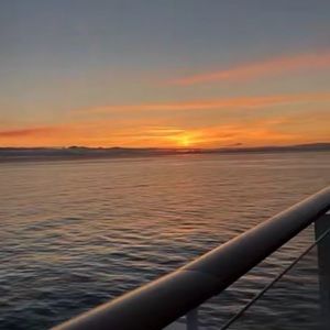 Meet your Posher, Patrick